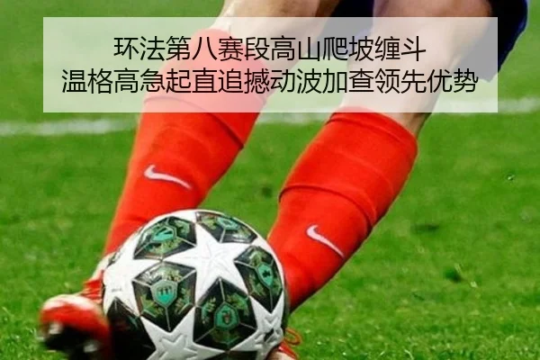 环法第八赛段高山爬坡缠斗 温格高急起直追撼动波加查领先优势